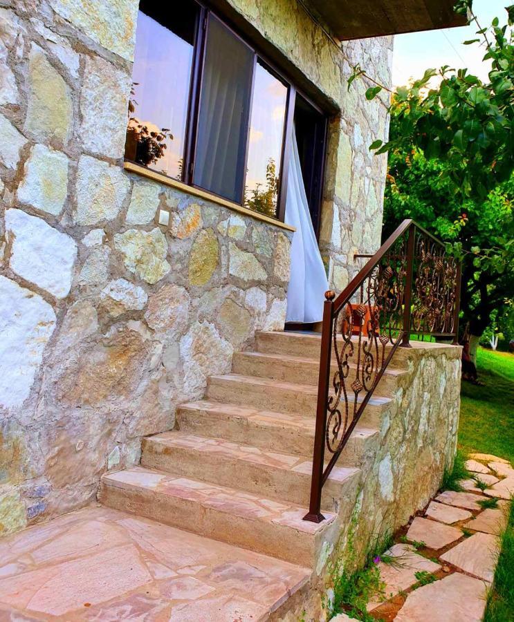 Guest House Ijevan'S Garden エクステリア 写真