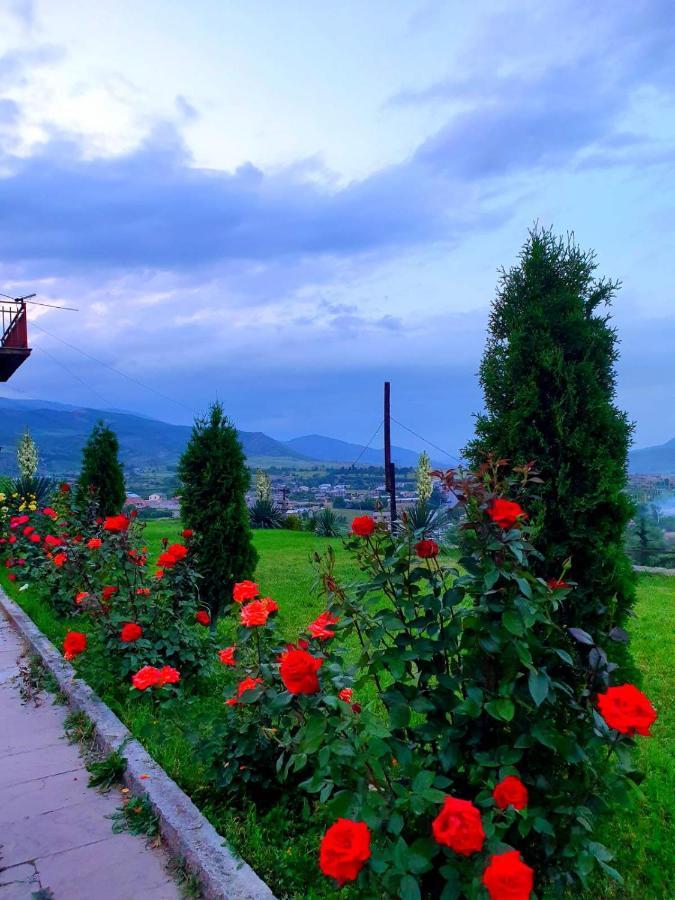 Guest House Ijevan'S Garden エクステリア 写真