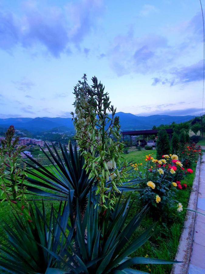 Guest House Ijevan'S Garden エクステリア 写真