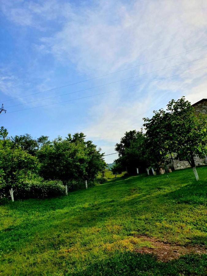Guest House Ijevan'S Garden エクステリア 写真