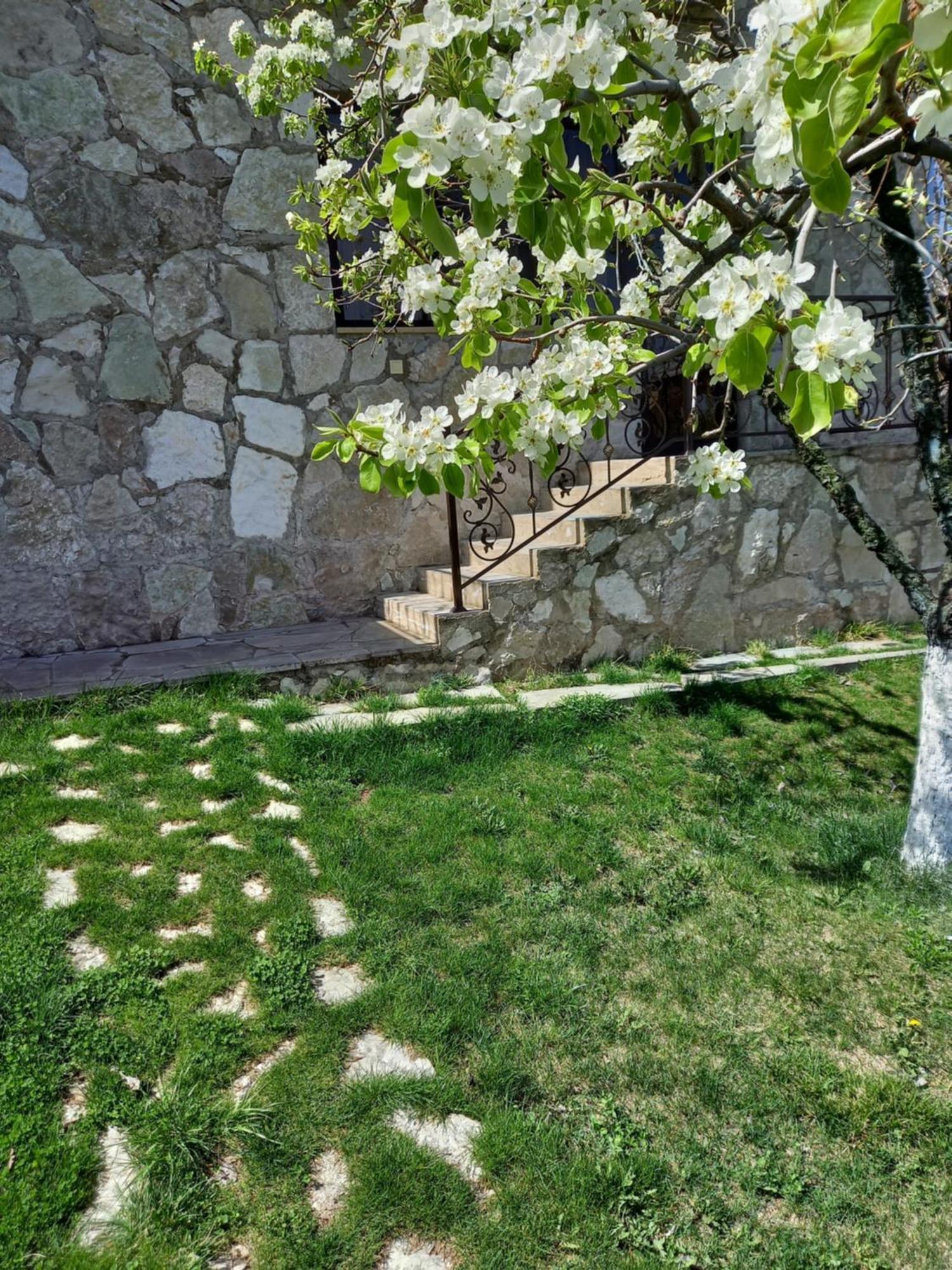 Guest House Ijevan'S Garden エクステリア 写真