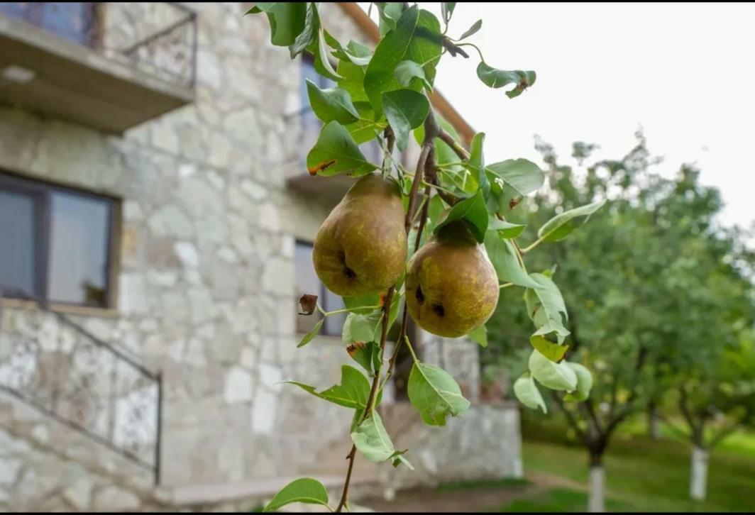Guest House Ijevan'S Garden エクステリア 写真
