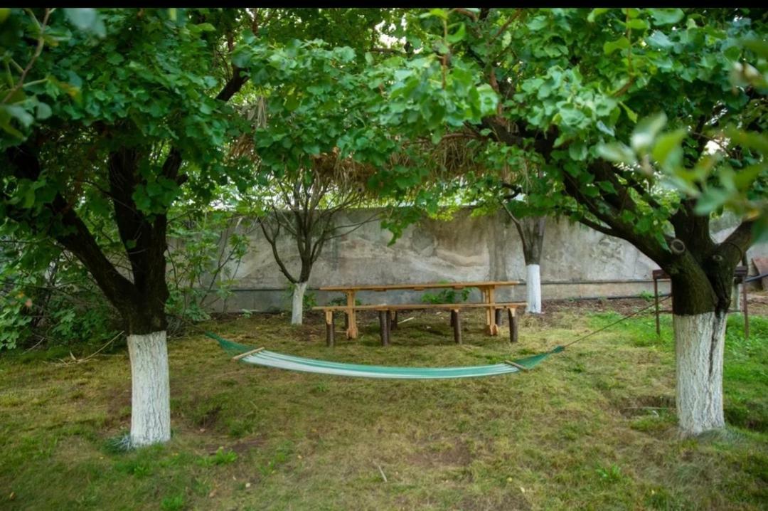 Guest House Ijevan'S Garden エクステリア 写真